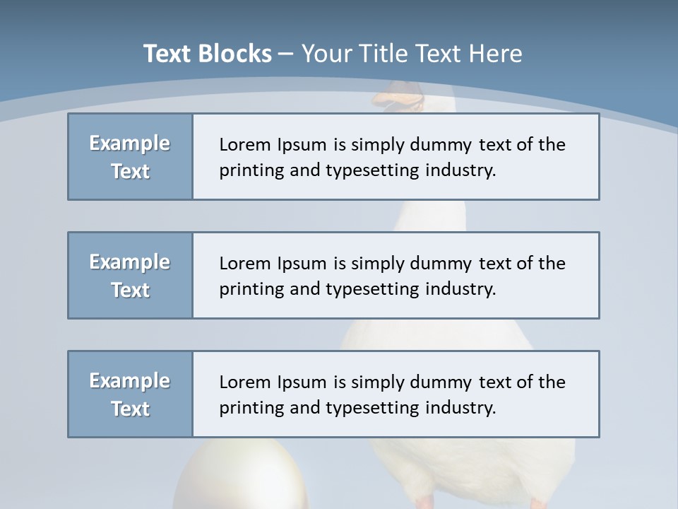 Foot Studio Egg PowerPoint Template