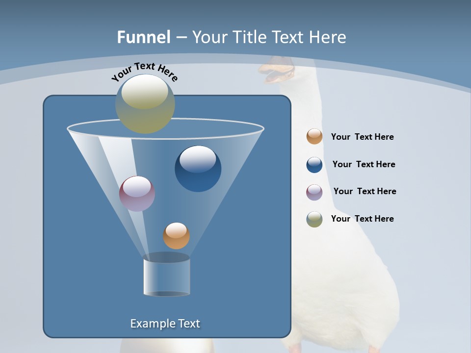 Foot Studio Egg PowerPoint Template