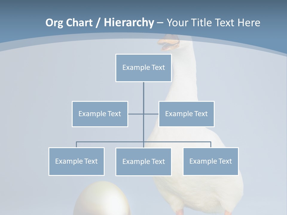 Foot Studio Egg PowerPoint Template
