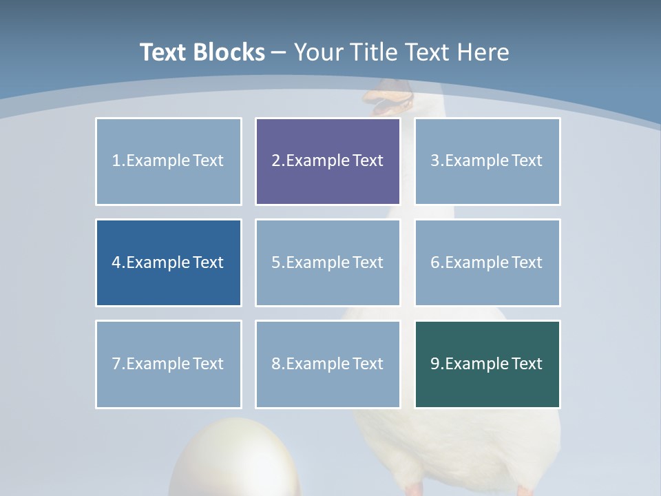 Foot Studio Egg PowerPoint Template