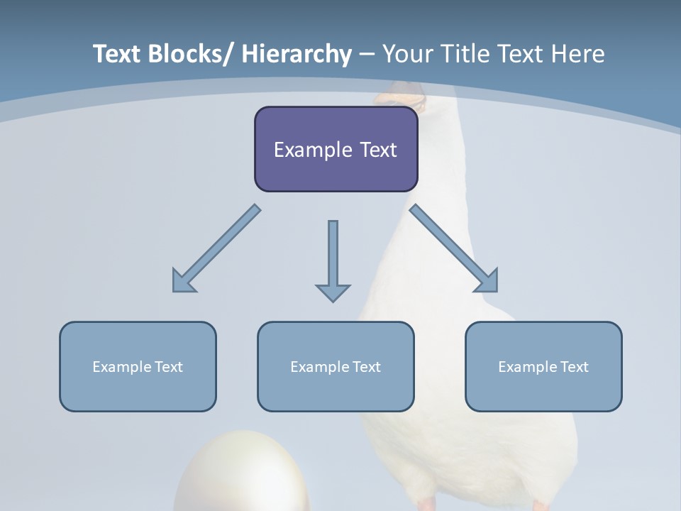 Foot Studio Egg PowerPoint Template