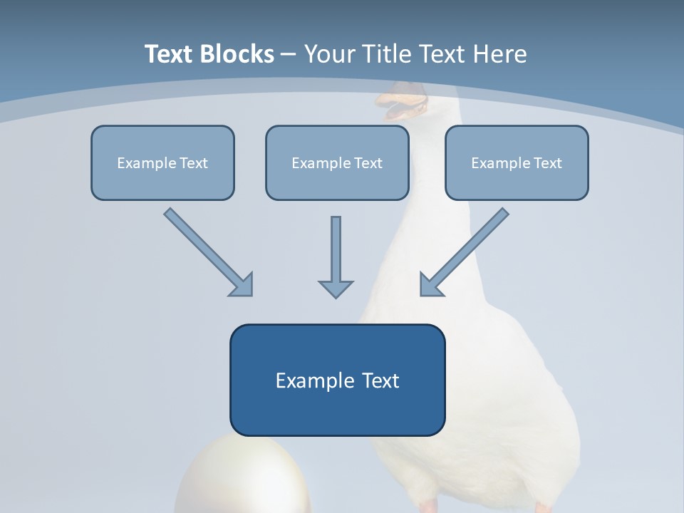 Foot Studio Egg PowerPoint Template