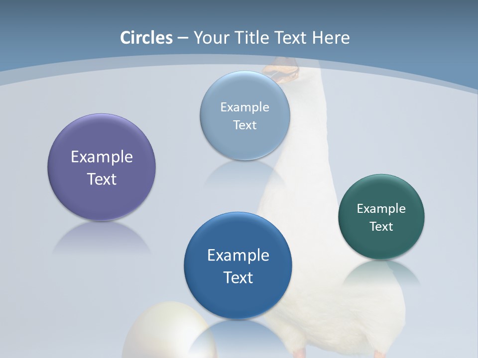 Foot Studio Egg PowerPoint Template