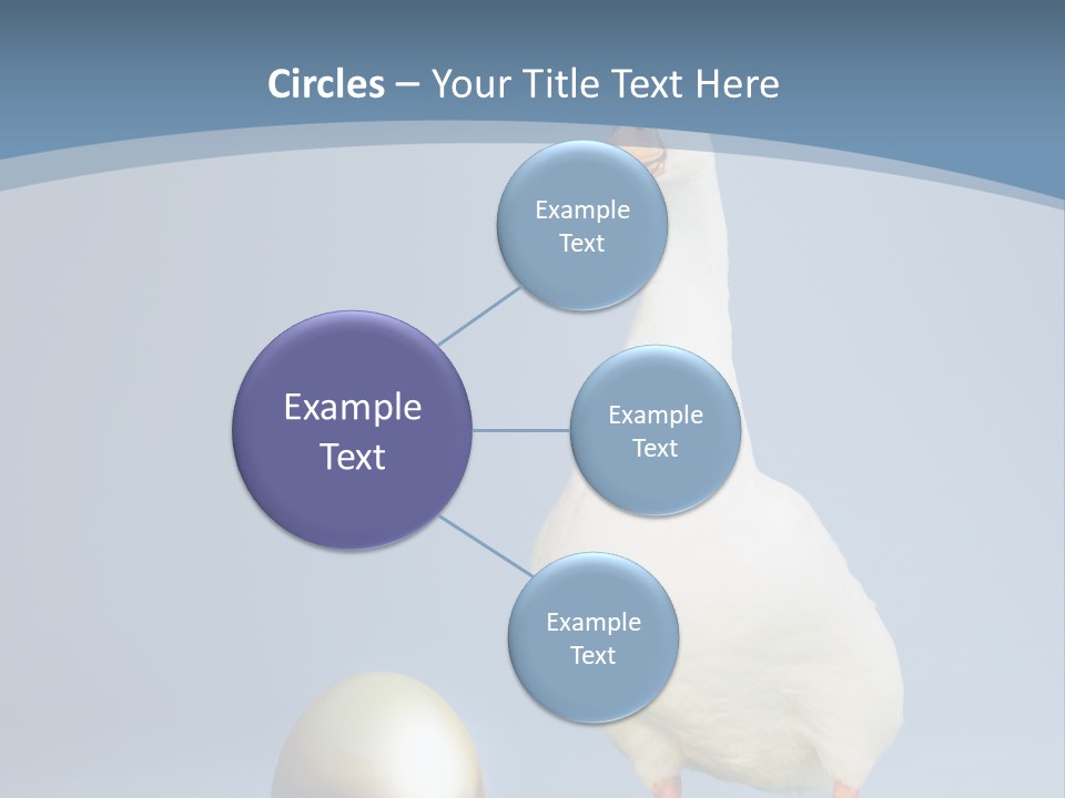 Foot Studio Egg PowerPoint Template