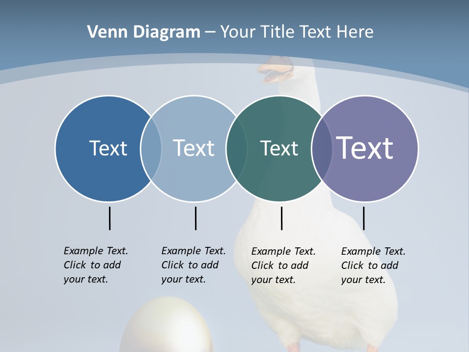 Foot Studio Egg PowerPoint Template