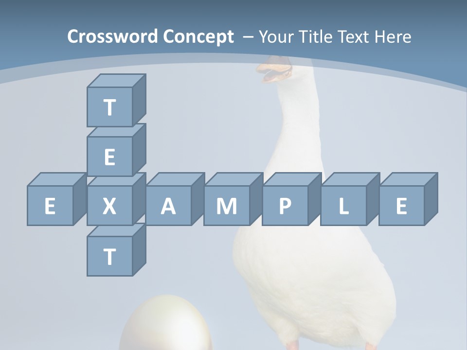 Foot Studio Egg PowerPoint Template