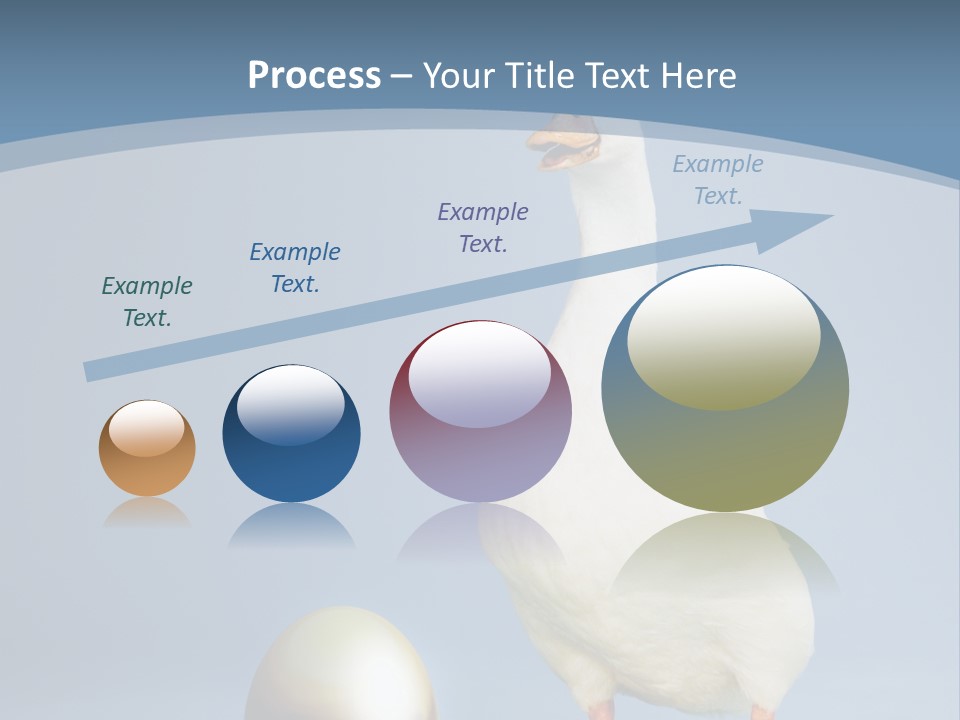 Foot Studio Egg PowerPoint Template