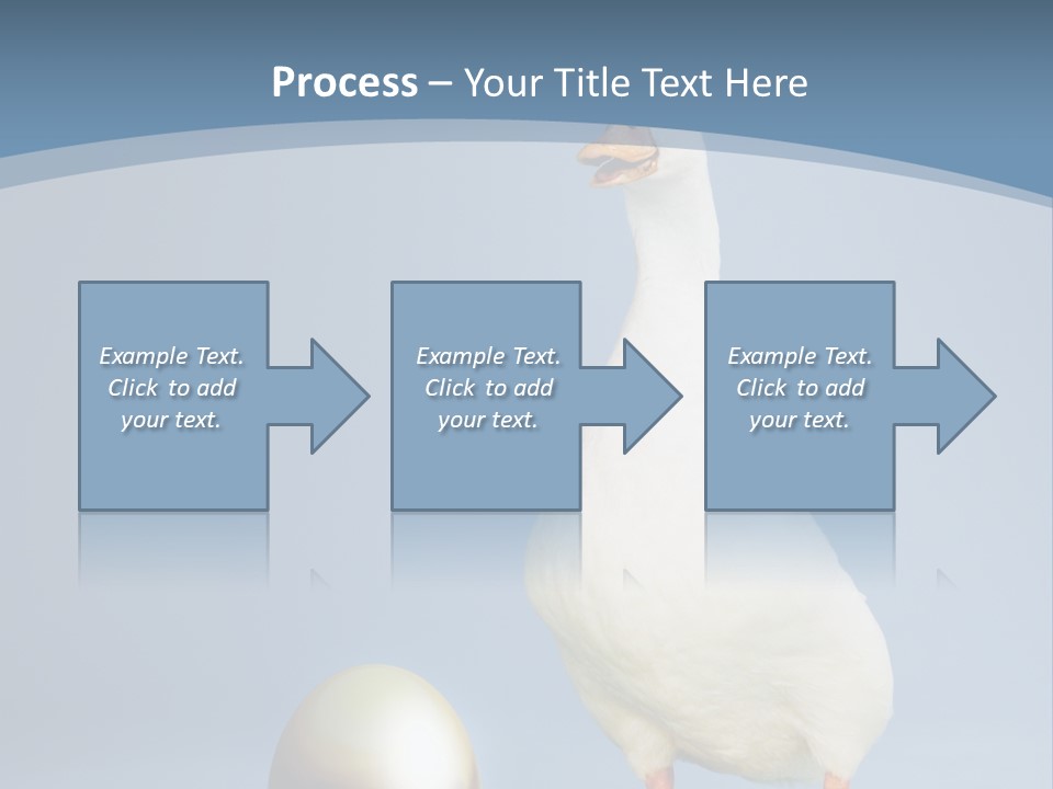 Foot Studio Egg PowerPoint Template