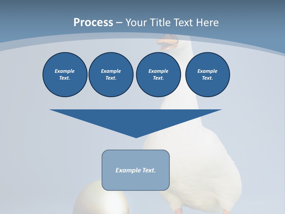 Foot Studio Egg PowerPoint Template