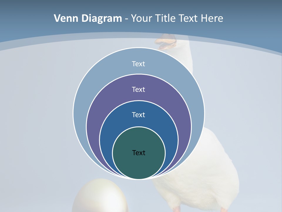 Foot Studio Egg PowerPoint Template