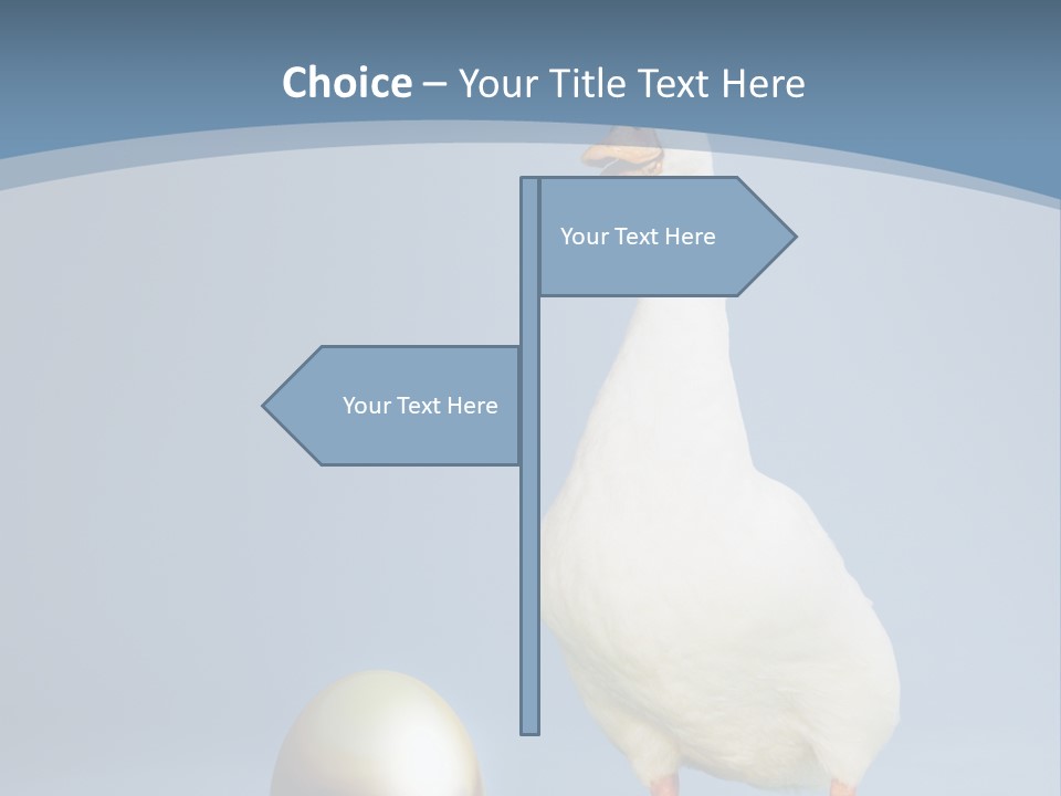 Foot Studio Egg PowerPoint Template