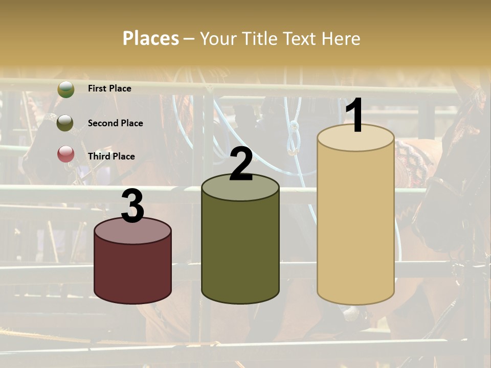 West Competition Calf PowerPoint Template