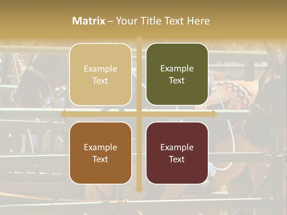 West Competition Calf PowerPoint Template