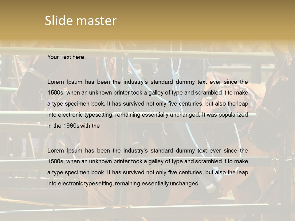 West Competition Calf PowerPoint Template