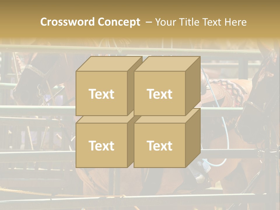 West Competition Calf PowerPoint Template