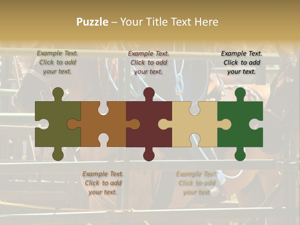 West Competition Calf PowerPoint Template