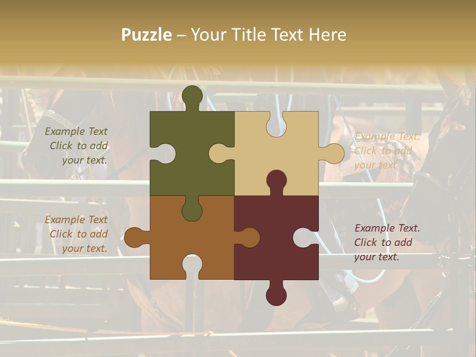 West Competition Calf PowerPoint Template