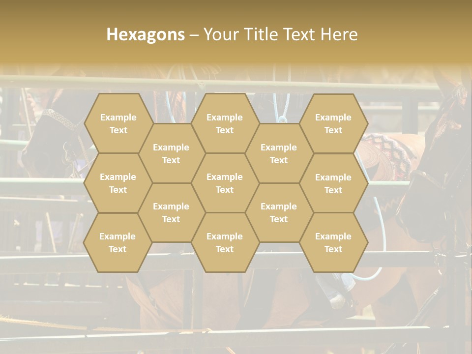 West Competition Calf PowerPoint Template