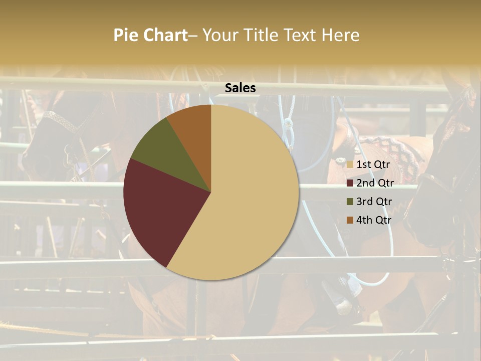 West Competition Calf PowerPoint Template