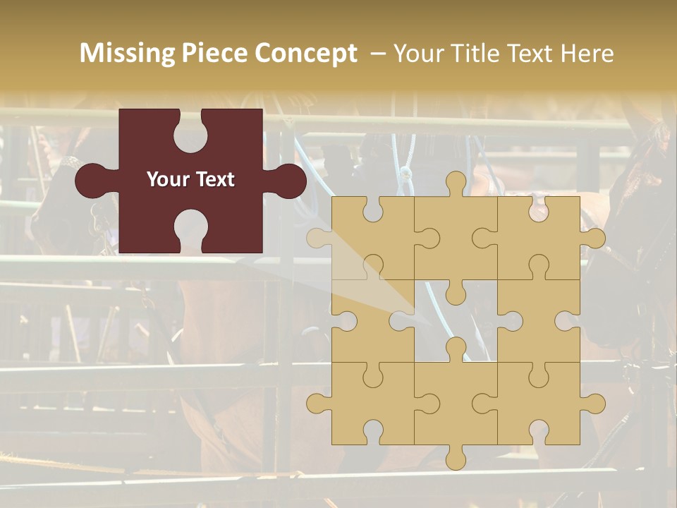 West Competition Calf PowerPoint Template