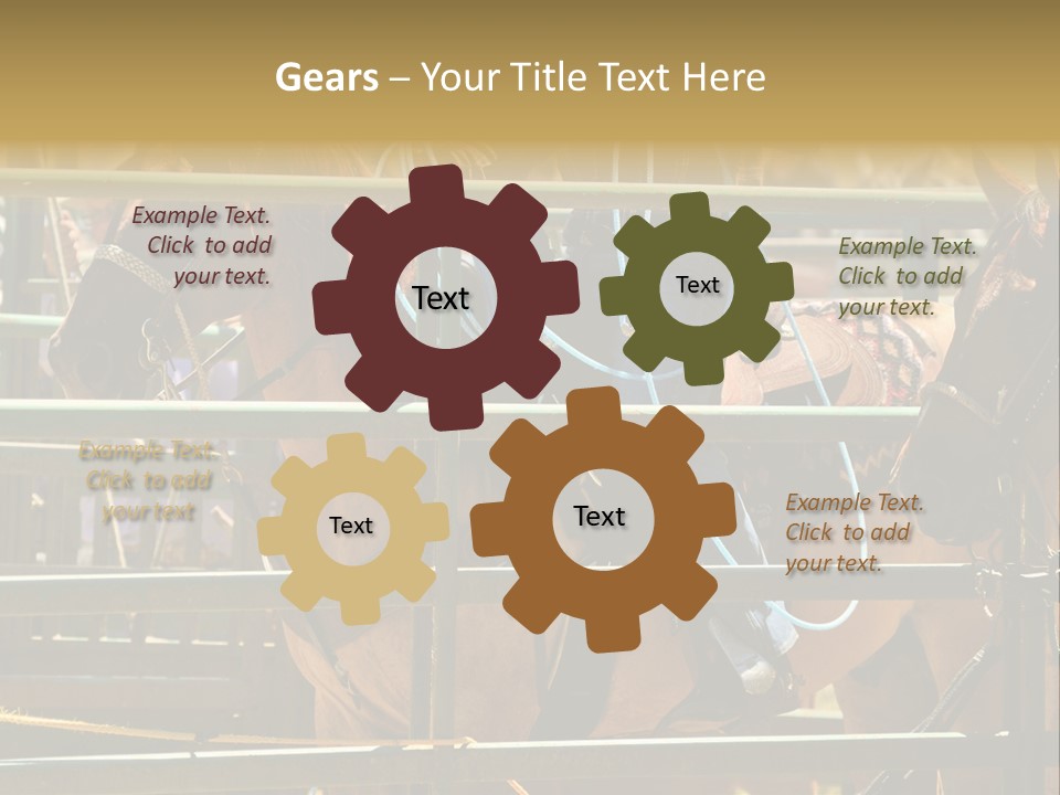 West Competition Calf PowerPoint Template