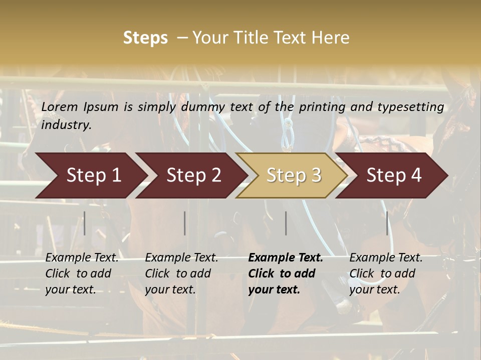 West Competition Calf PowerPoint Template