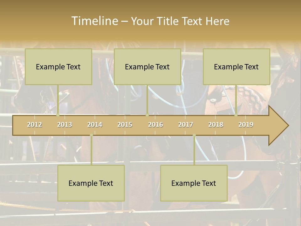 West Competition Calf PowerPoint Template