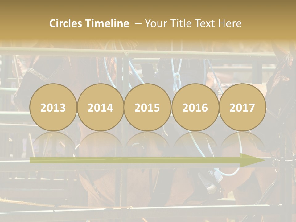 West Competition Calf PowerPoint Template