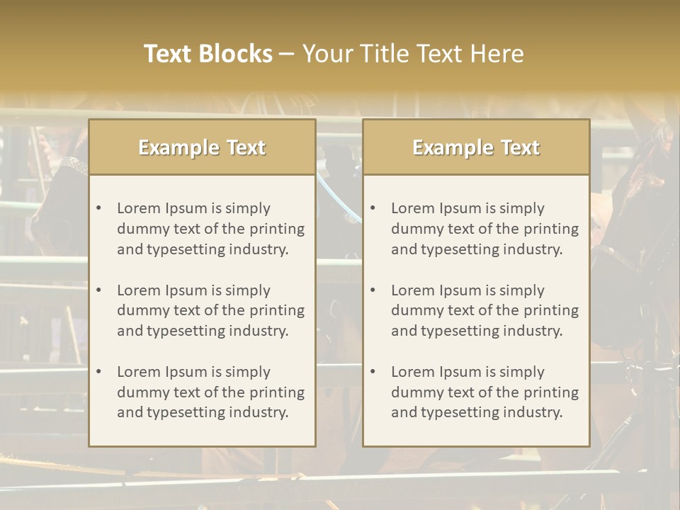 West Competition Calf PowerPoint Template