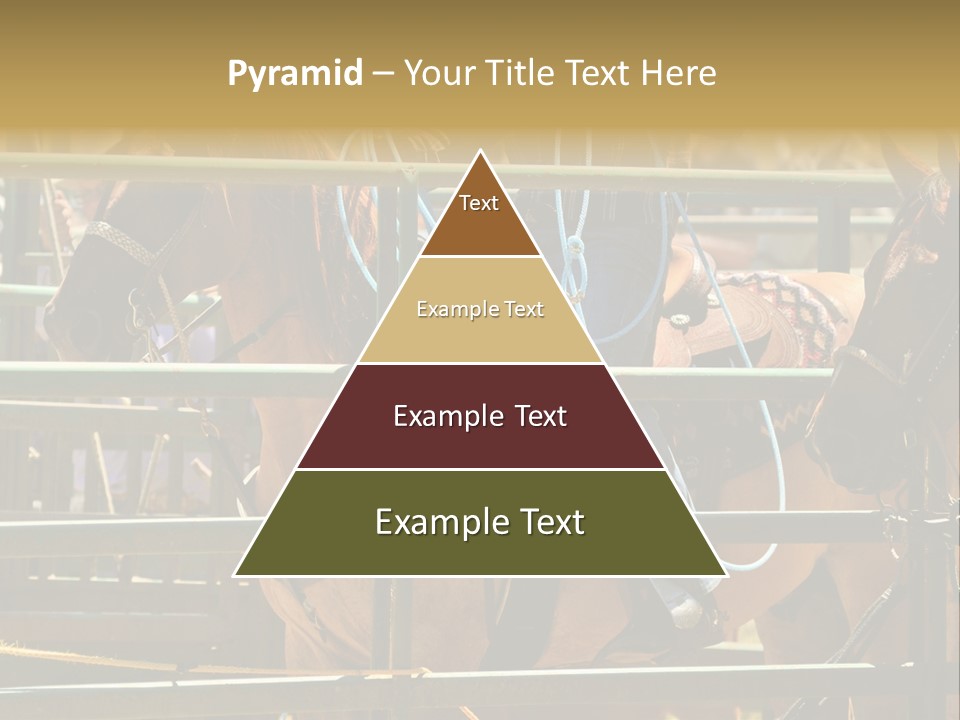 West Competition Calf PowerPoint Template