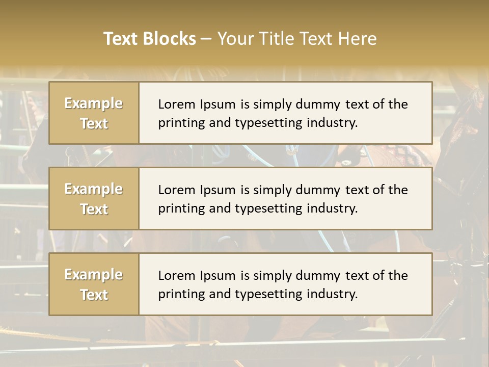 West Competition Calf PowerPoint Template
