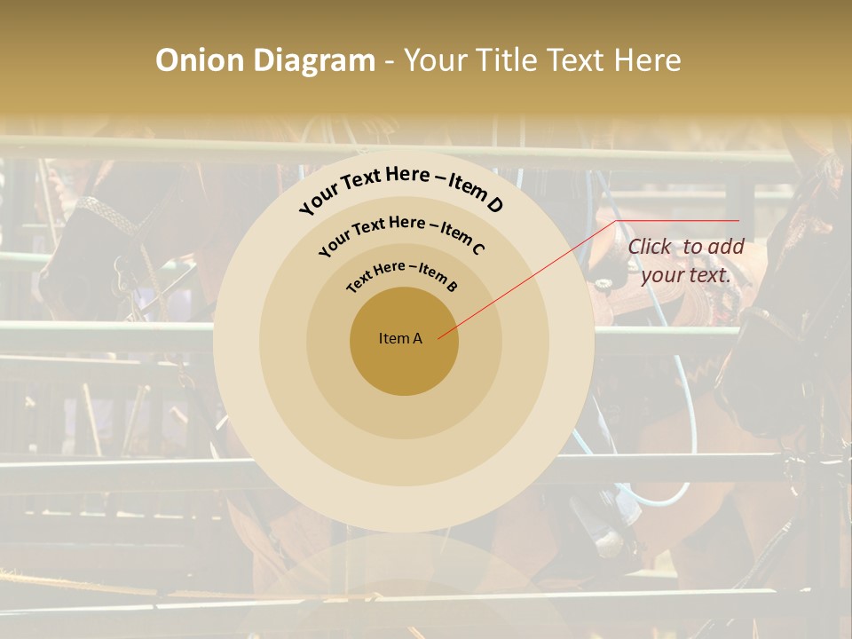 West Competition Calf PowerPoint Template