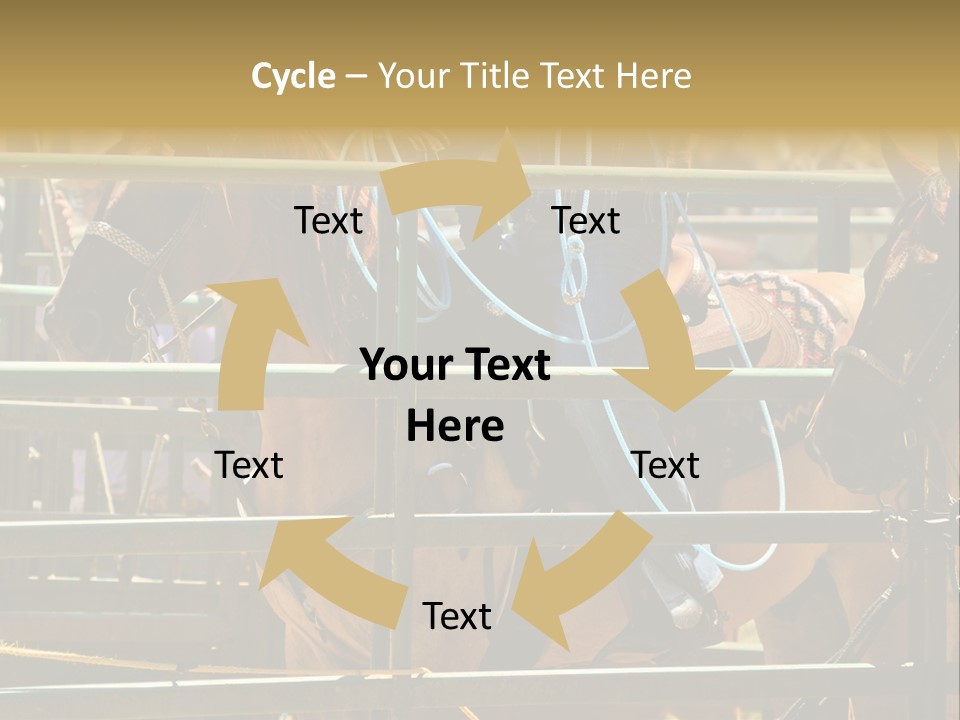 West Competition Calf PowerPoint Template