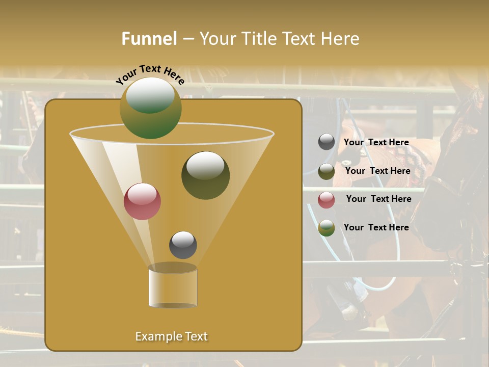 West Competition Calf PowerPoint Template