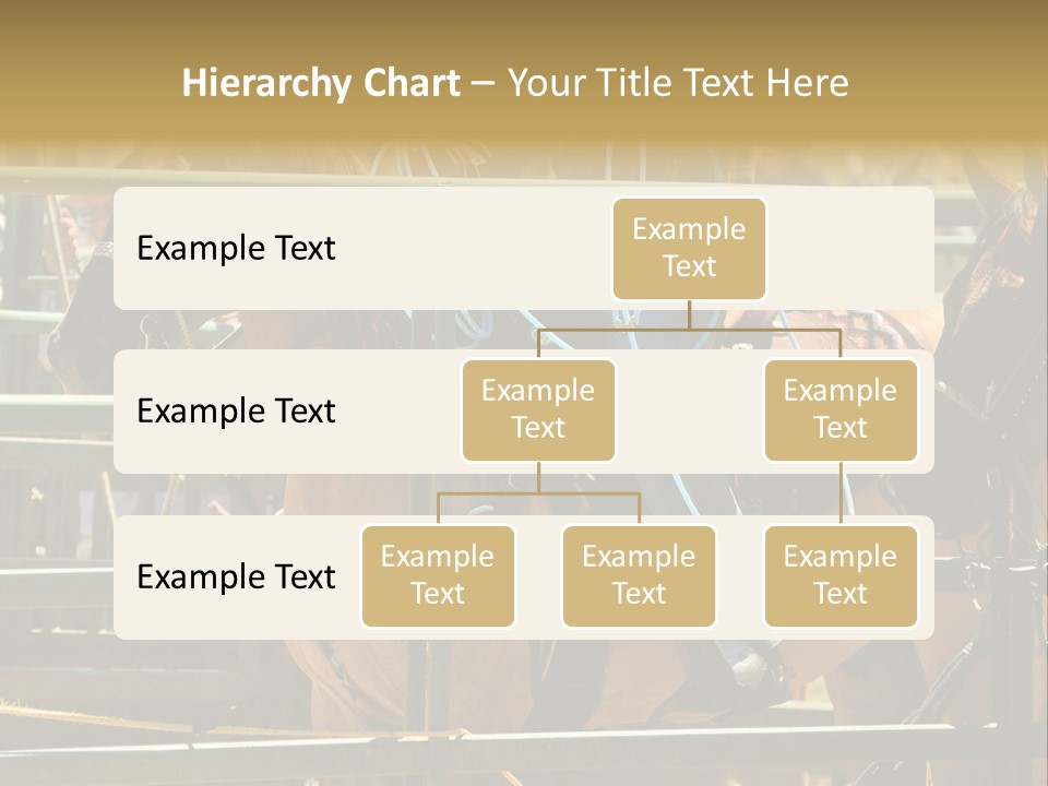 West Competition Calf PowerPoint Template