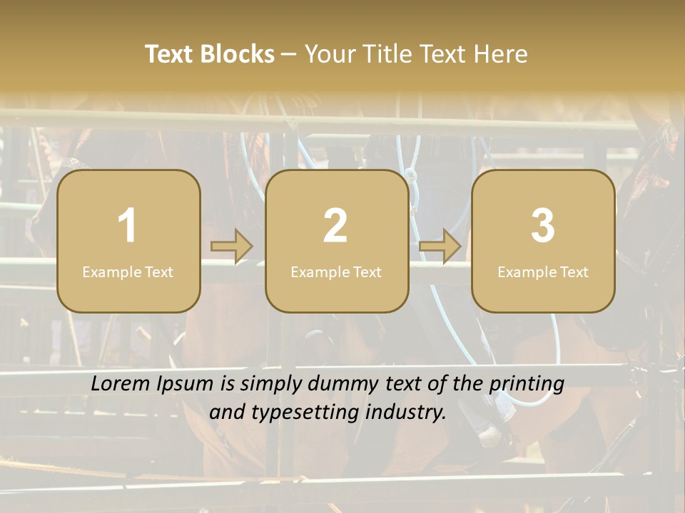 West Competition Calf PowerPoint Template