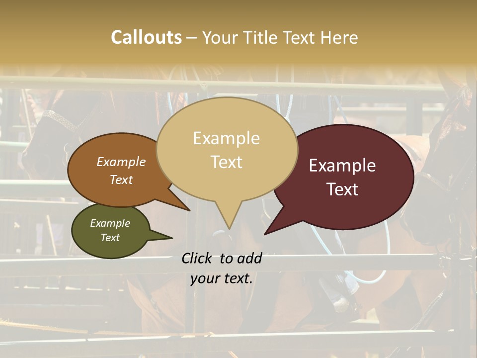 West Competition Calf PowerPoint Template