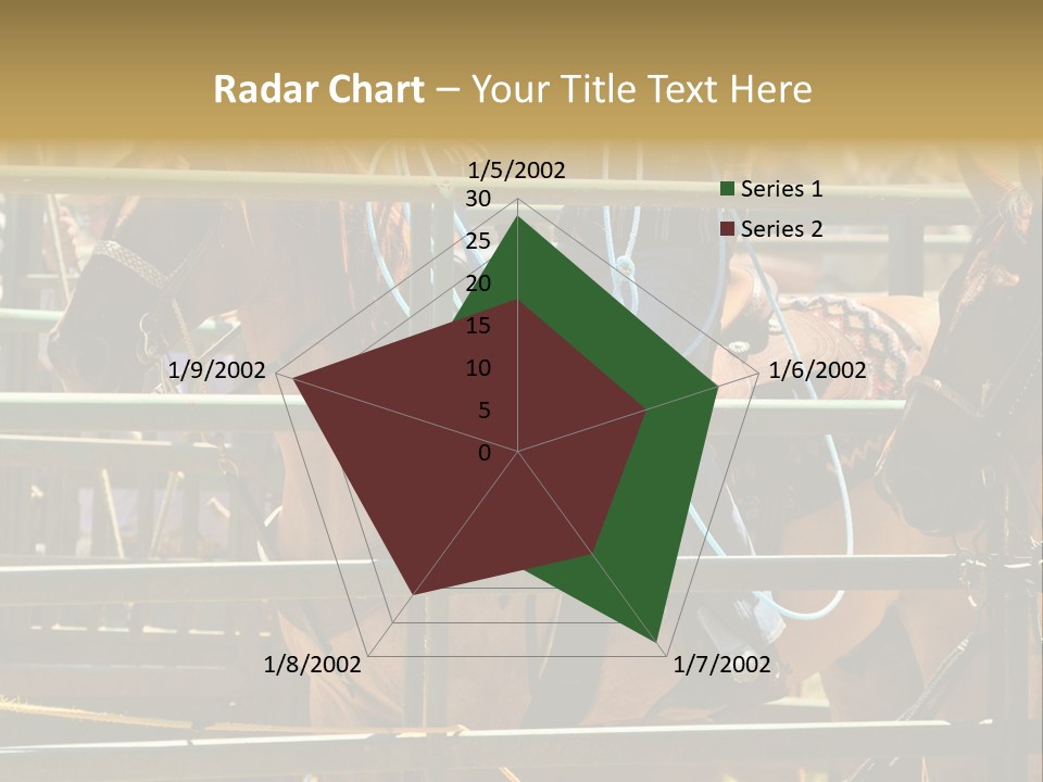 West Competition Calf PowerPoint Template