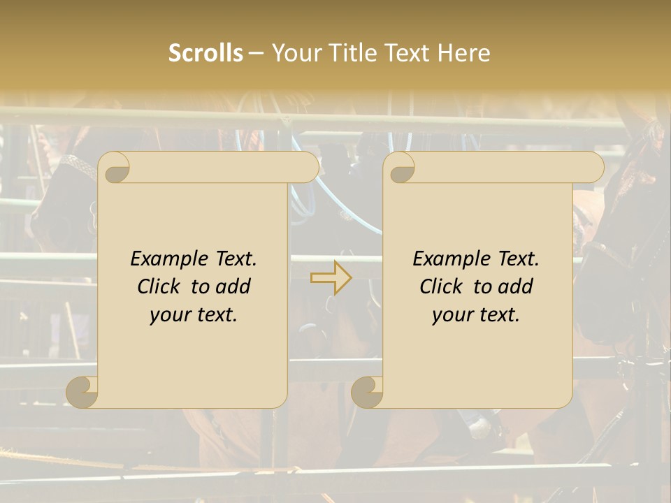West Competition Calf PowerPoint Template