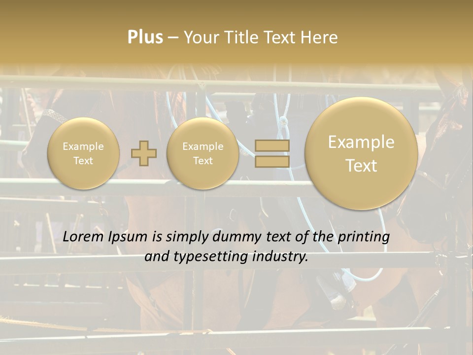 West Competition Calf PowerPoint Template