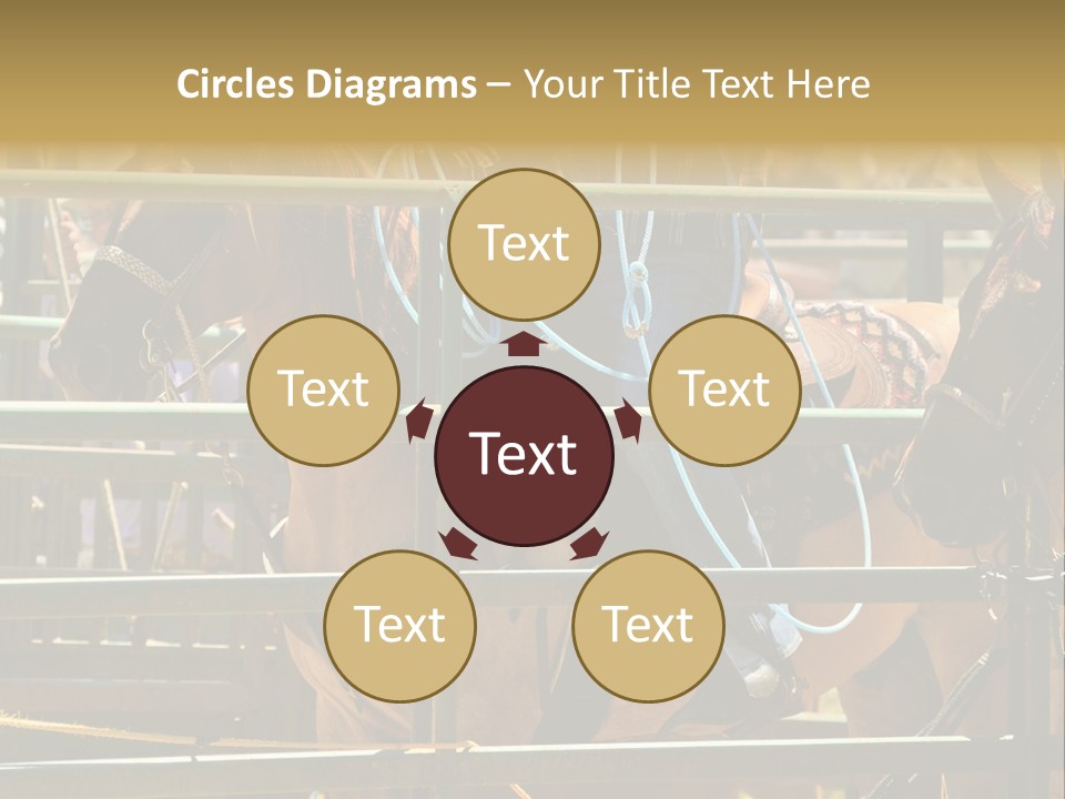 West Competition Calf PowerPoint Template