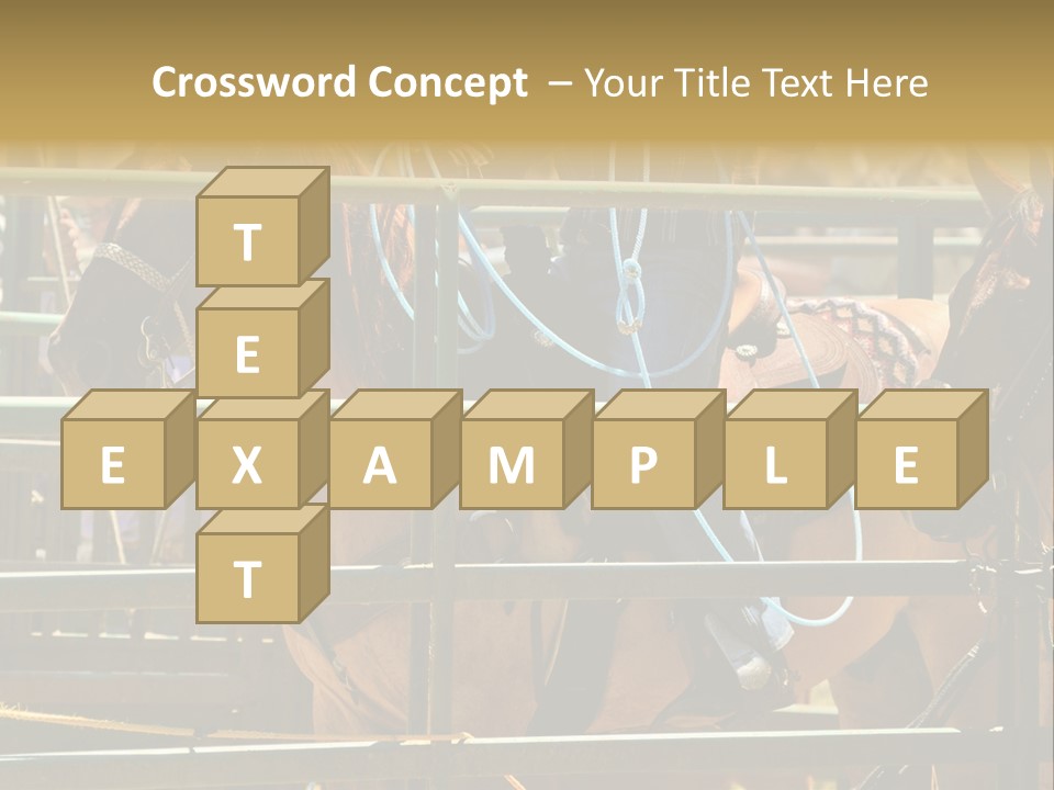 West Competition Calf PowerPoint Template