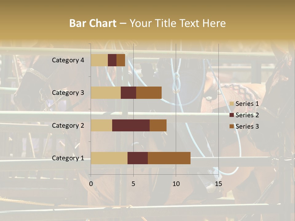 West Competition Calf PowerPoint Template