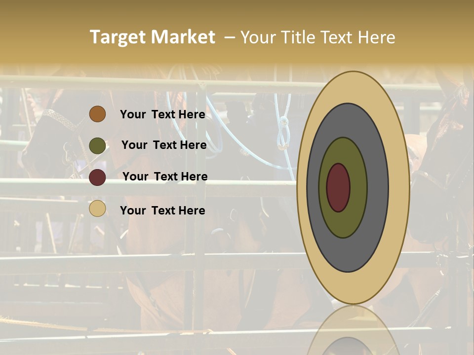 West Competition Calf PowerPoint Template