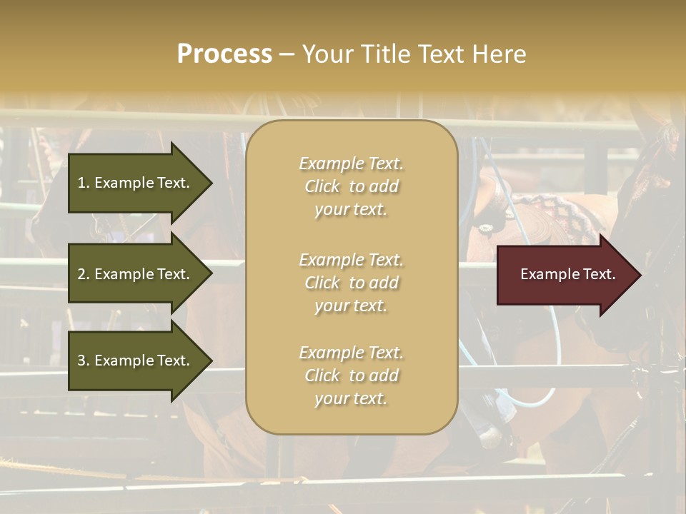 West Competition Calf PowerPoint Template