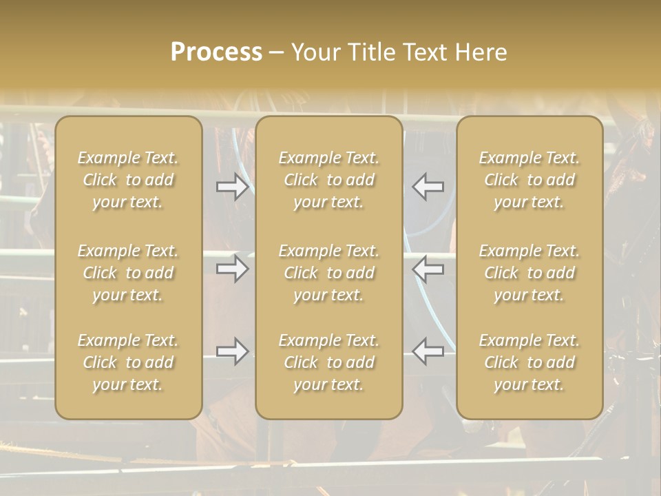 West Competition Calf PowerPoint Template