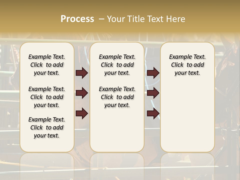 West Competition Calf PowerPoint Template