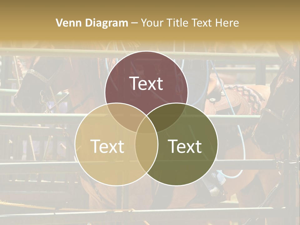 West Competition Calf PowerPoint Template