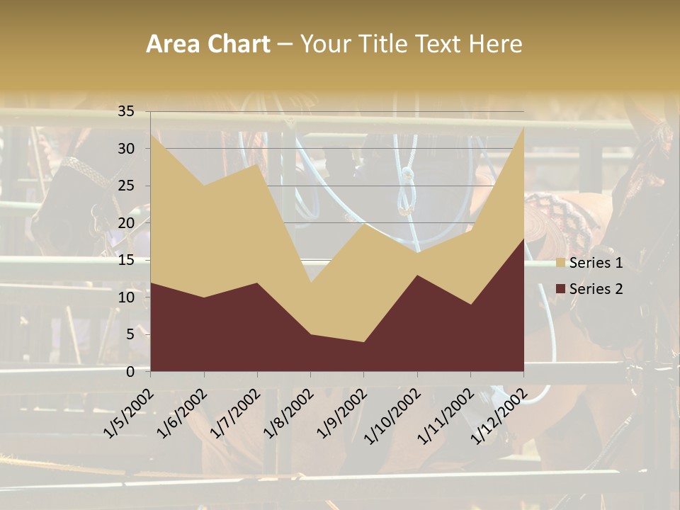 West Competition Calf PowerPoint Template