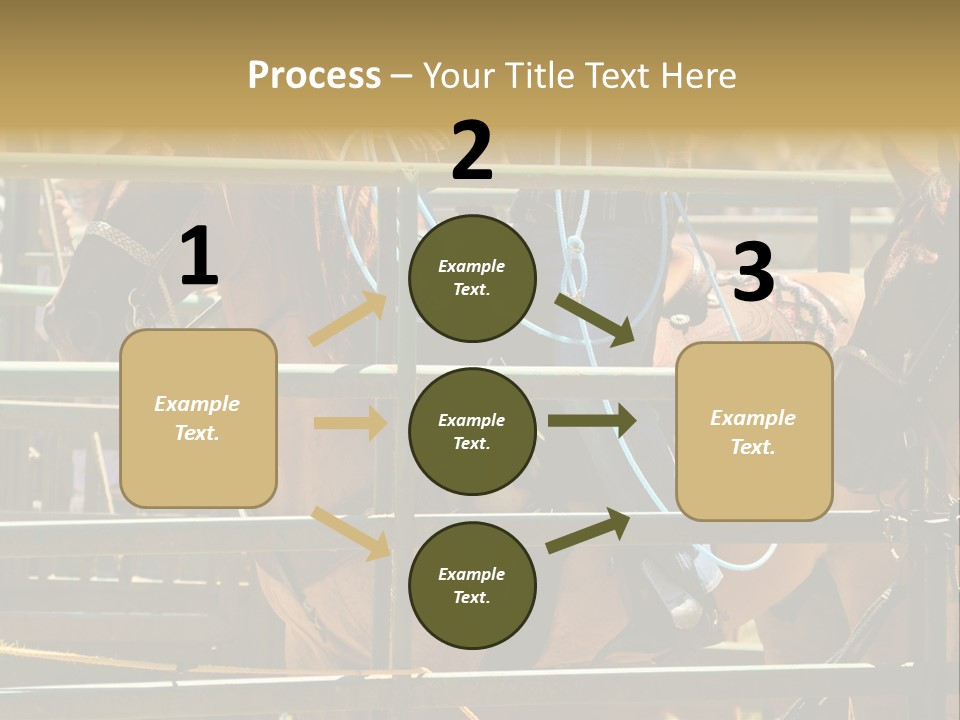 West Competition Calf PowerPoint Template